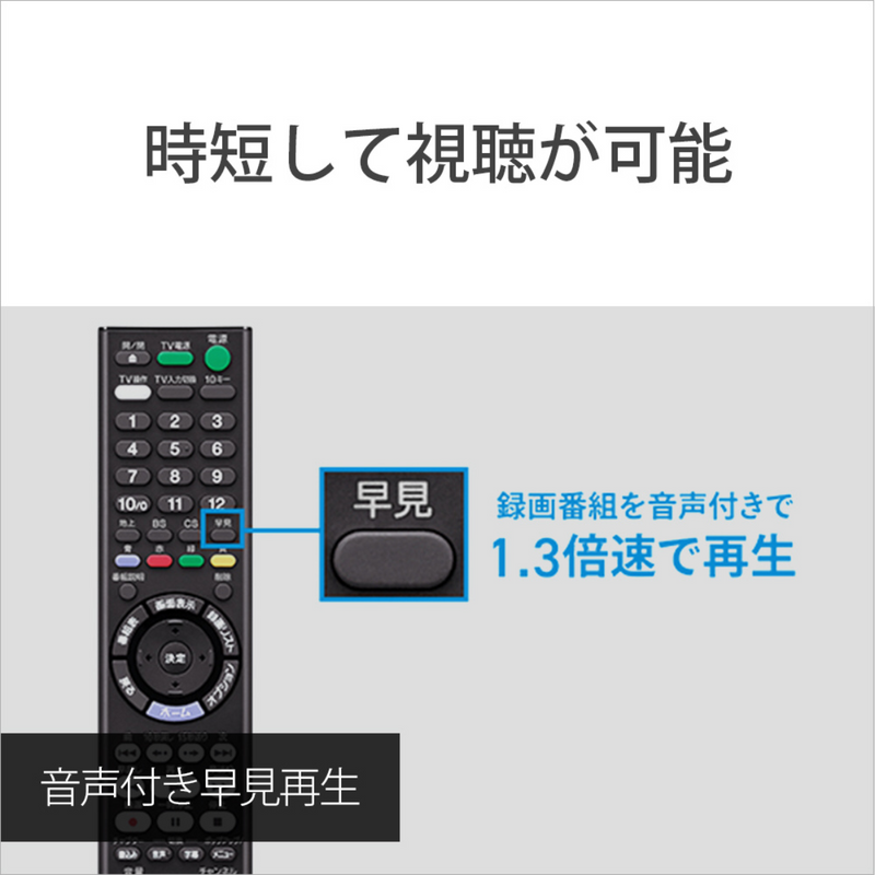 【SONY】<br>ブルーレイディスクレコーダー＜1000GB (1TB) ＞ | BDZ-ZW1900