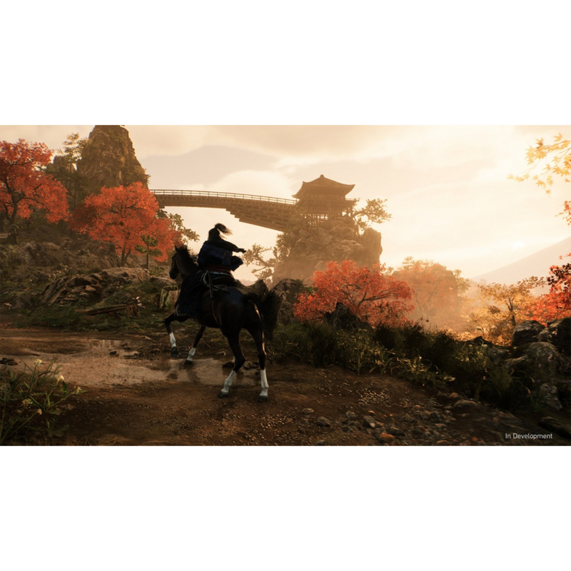 【PS5パッケージ版】Rise of the Ronin D version