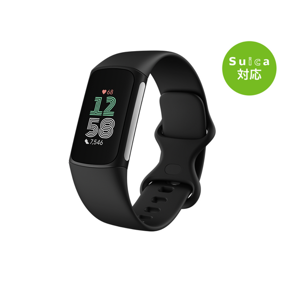 【Google】<br>Fitbit Charge 6<br>GA05183-AP