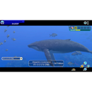 【Switchパッケージ版】<br>フォーエバーブルー<br>ルミナス