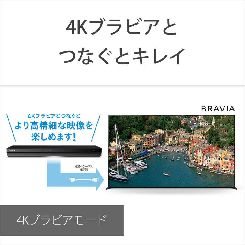 【SONY】<br>ブルーレイディスクレコーダー＜1000GB (1TB) ＞ | BDZ-ZW1900