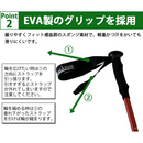 【 Land Field 】<br>トレッキングポール 2本セット  | LF-TP020<br>ブルー(BL)／レッド(RD)