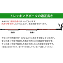 【 Land Field 】<br>トレッキングポール 2本セット  | LF-TP020<br>ブルー(BL)／レッド(RD)