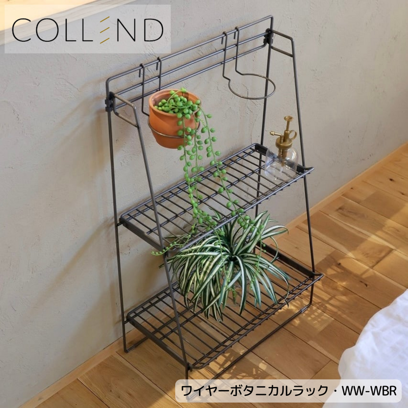 【 COLLEND 】お客様組立品<br>ワイヤーボタニカルラック／WW-WBR