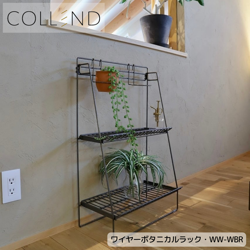 【 COLLEND 】お客様組立品<br>ワイヤーボタニカルラック／WW-WBR