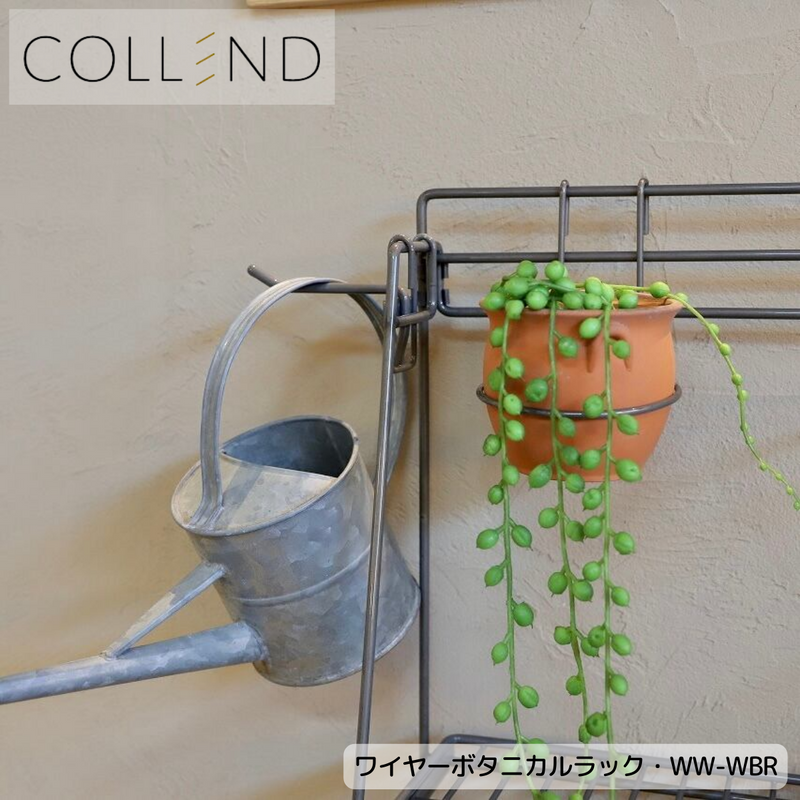 【 COLLEND 】お客様組立品<br>ワイヤーボタニカルラック／WW-WBR