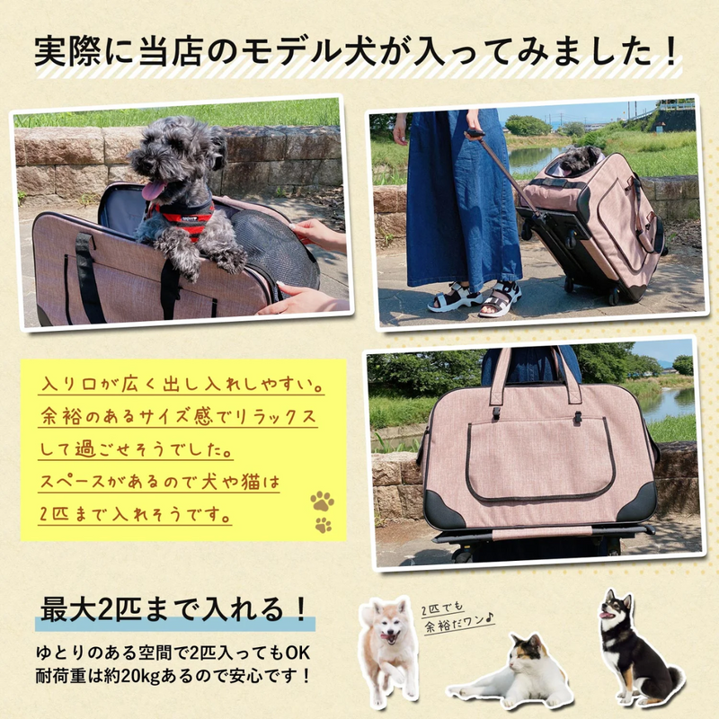 【 Sun Ruck 】<br>ハンドル付ペットキャリー<br>グレー<br> SR-PCR01-GY